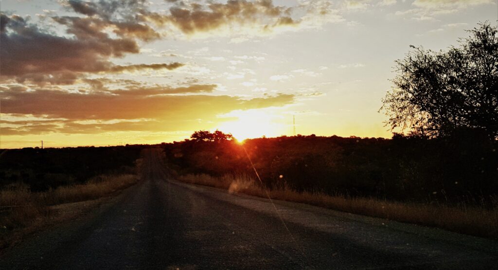 Savannah wilderness at sunset