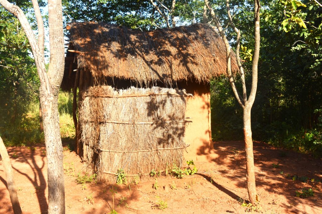 Sustainable Village Outhouse